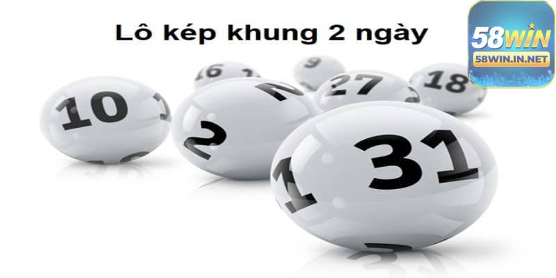 Các yếu tố ảnh hưởng đến nuôi lô kép khung 2 ngày