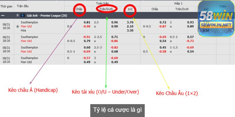 Tỷ lệ cá cược thể hiện số tiền đặt cược và số tiền có thể thắng